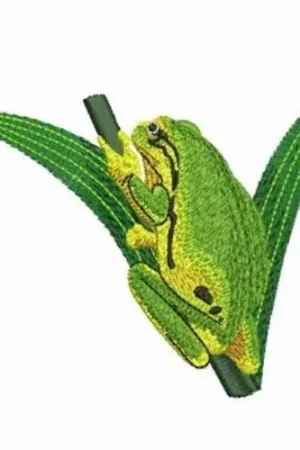 Bulk Order Frog Climbing Leaf Embroidery Design