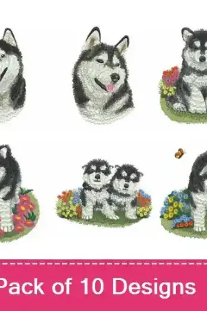 Assorted Dogs 2 Embroidery design pack by Ace Points, Embroidery Packs on EmbroideryDesigns.com Hot Picks