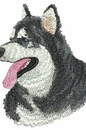 Alaskan Malamure Head Embroidery Design Bargain