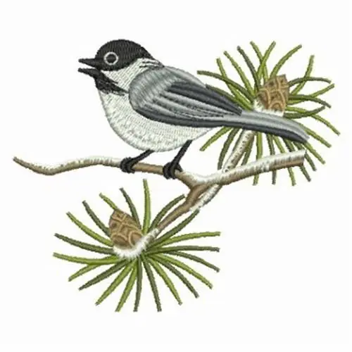 Best Choice Winter Chickadee Embroidery Design
