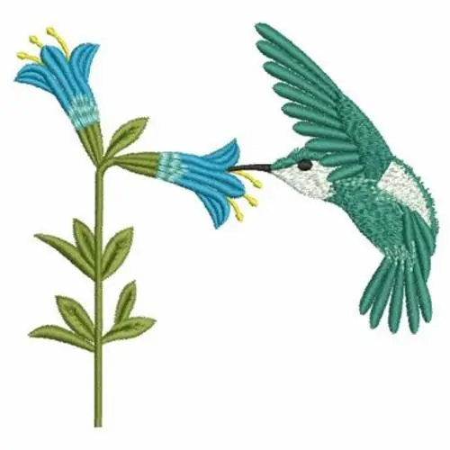 Best Choice Feeding Hummingbird Embroidery Design
