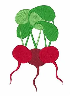 Fresh Beets Embroidery Design Bargain