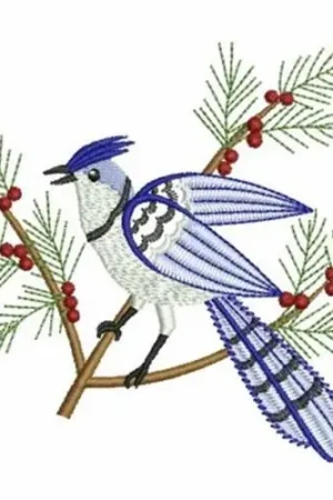 Buy Direct Winter Blue Jay Embroidery Design