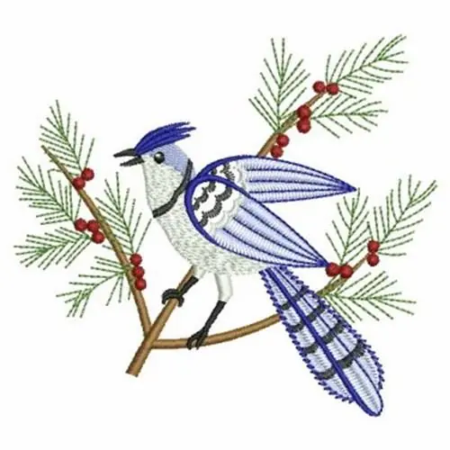 Buy Direct Winter Blue Jay Embroidery Design
