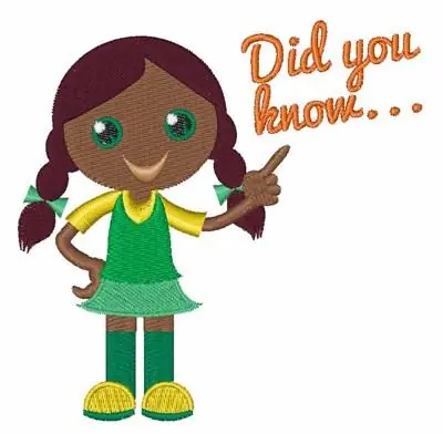 Did You Know Embroidery Design Low Price