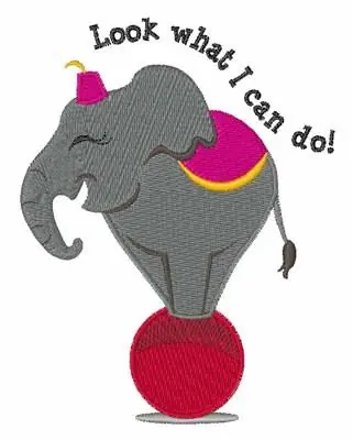 What I Can Do Embroidery Design Limited Offer