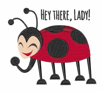 Hey There Embroidery Design Latest