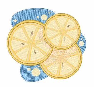 Lemon Slices Embroidery Design Crafted