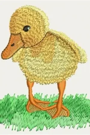 Baby Duck Embroidery Design New Arrival