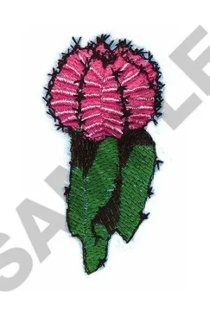 Affordable CACTUS BLOOM Embroidery Design