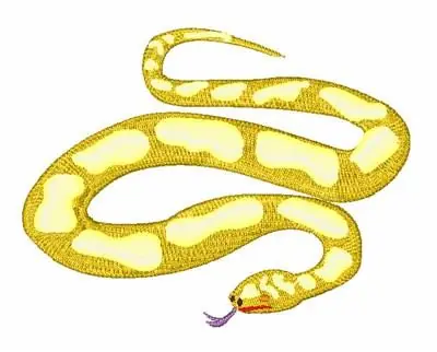 Yellow Python Embroidery Design Order Now