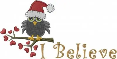 I Believe Owl Embroidery Design Best Seller