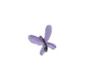 Teenie Tiny Butterfly Embroidery Design New Release